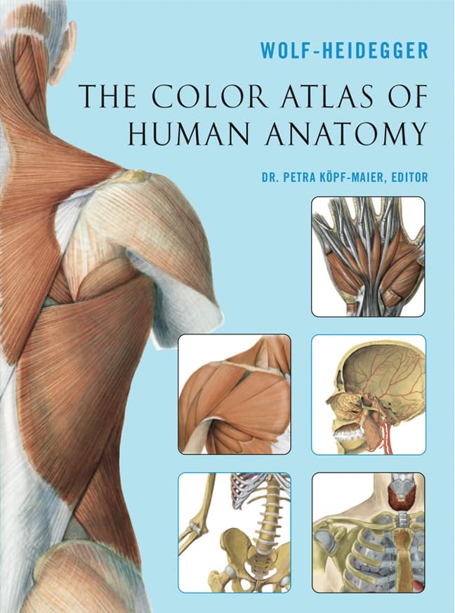 Amazon.com: A Color Atlas of Human Anatomy: 9780815158554