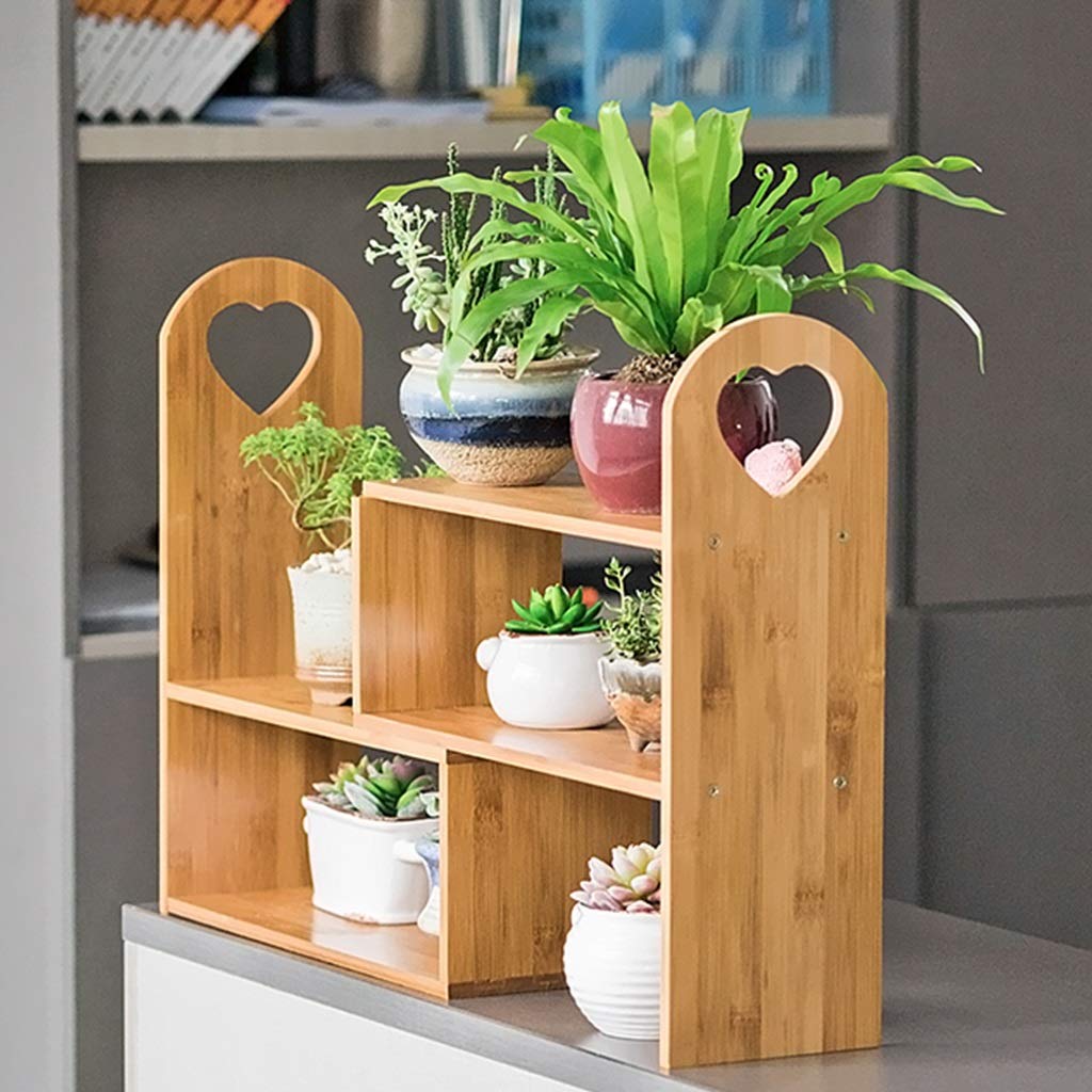 GZ DIY - Estantes de instalación para Plantas y Cactus pequeños y ...