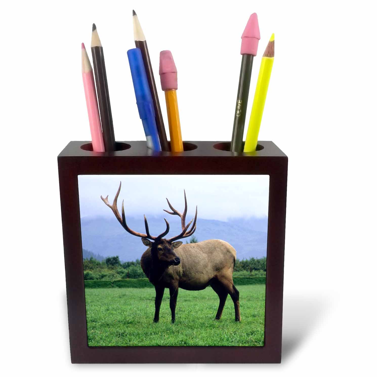 3dRose ph_229392_1 5-Inch "Two Elk Bulls Grazing in a Meadow/Alaska Wildlife Centre/Alaska" Tile Pen Holder