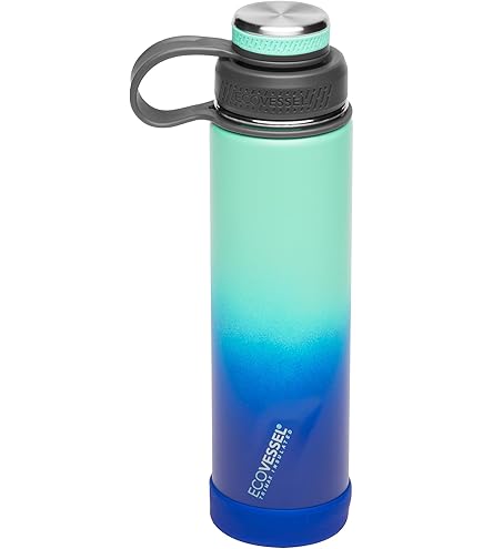 Amazon.com: EcoVessel Stainless Steel Water Bottle with Insulated