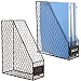 Set of 2 Rustic Brown Metal Chicken Wire Document Magazine Organizer Rack with Label Holder