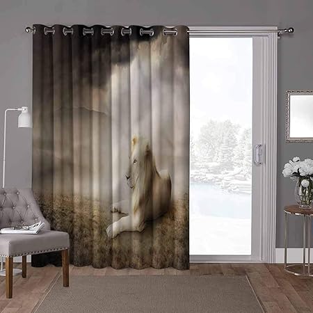 YUAZHOQI Cortinas térmicas para puerta de patio, Safari, León blanco en