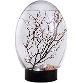 Small Fish Tank, Mini Aquarium Fish Tank Ecosphere Closed Aquatic Ecosystem with LED Light Desktop Aquarium Stable Black Base No Need to Feed or Change Water