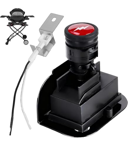 Amazon.com : WUVYFWN 64868 Electronic 2-Outlet Ignition Kit