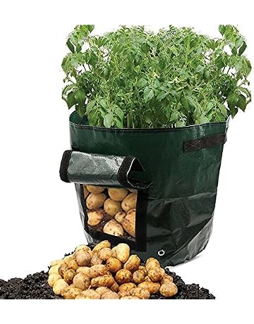 Bolsas para plantas | Amazon.es