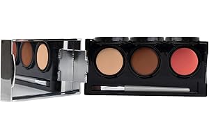 Tattoo Cover Up Makeup, Bruise Concealer, Waterproof, Smudge proof, 3 colors + brush, by Dermaflage, 6.9g/.24oz