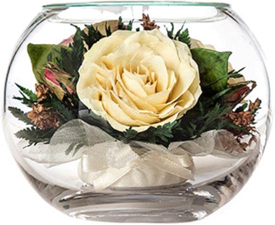 white rose for girlfriend