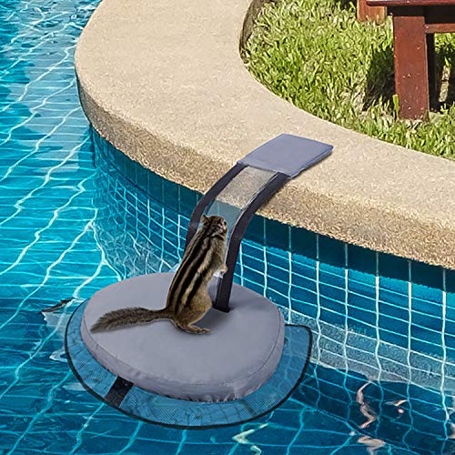 SPERPAND 2 Pack Animal Escape Ramp for Pool, Swimming Pool Accessories