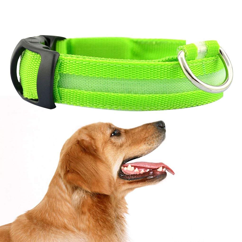 Alihoo LED Dog Collar, USB Rechargeable - Glowing Pet Dog Collar Night Safety, Suitable neck circumference 14’’-18’’ (Green)