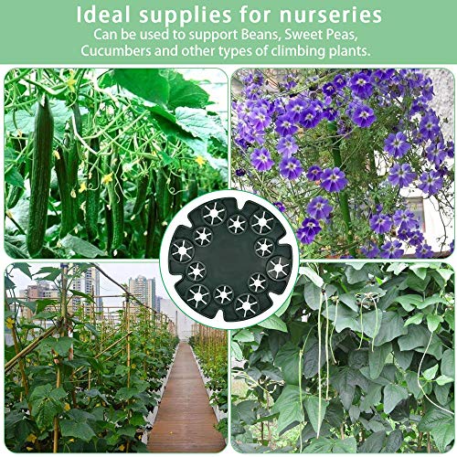 RMENOOR 5 Teilige Pflanzenstütze Staudenhalter Rund Kletterhilfe Pflanzen Plastic Strauchstützen Kletterpflanzenhilfe… – Bild 8