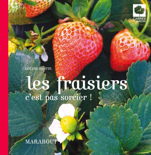 Les  fraisiers c'est pas sorcier !