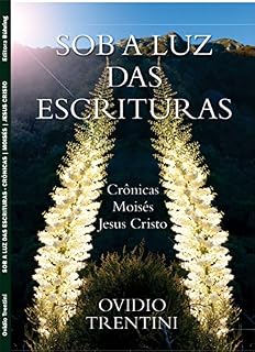 Livro Sob a Luz das Escrituras: Crônicas, Moisés, Jesus Cristo