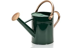 Ausluru Metal Watering Can with Removable Spout, Galvanized Watering Can, Perfect for Indoor Use and for Outdoor Use (1 Gallaon, Green)