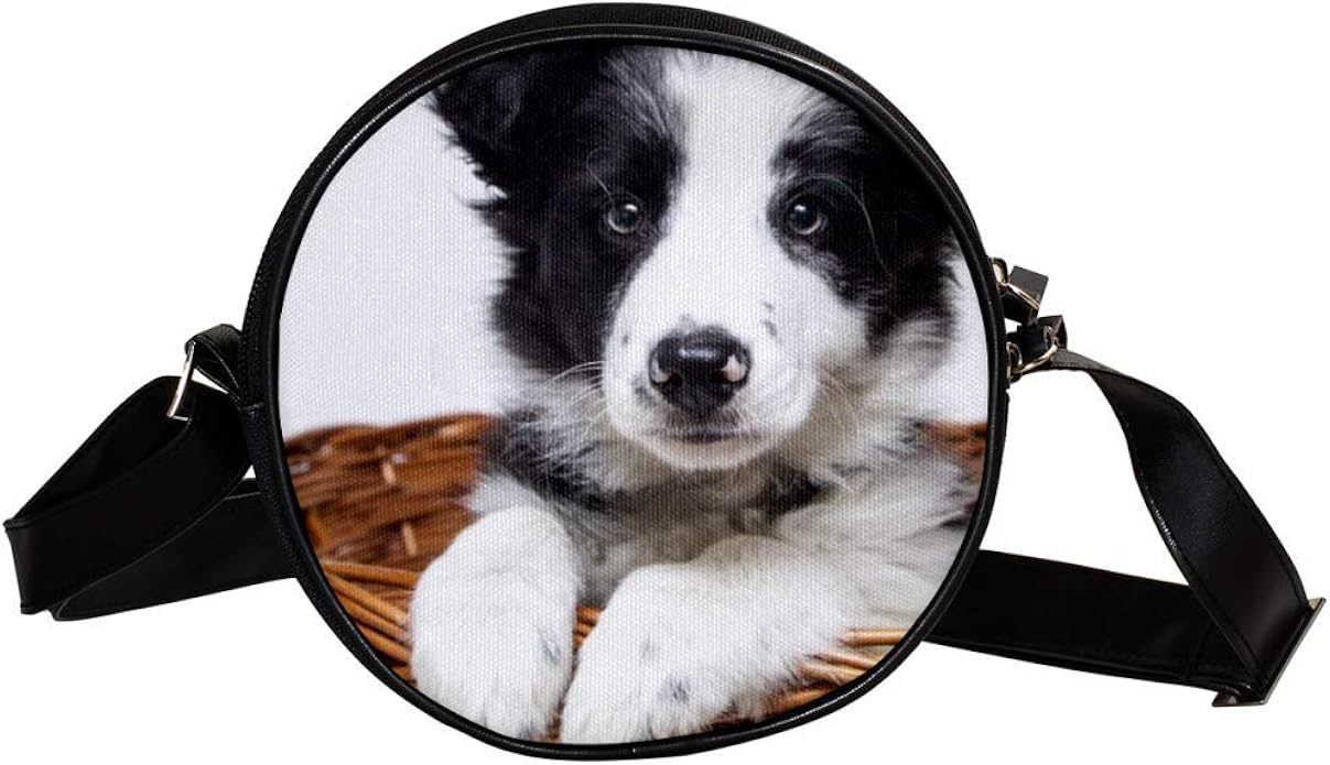 Coin Purse For Kids Basket Puppy Mini