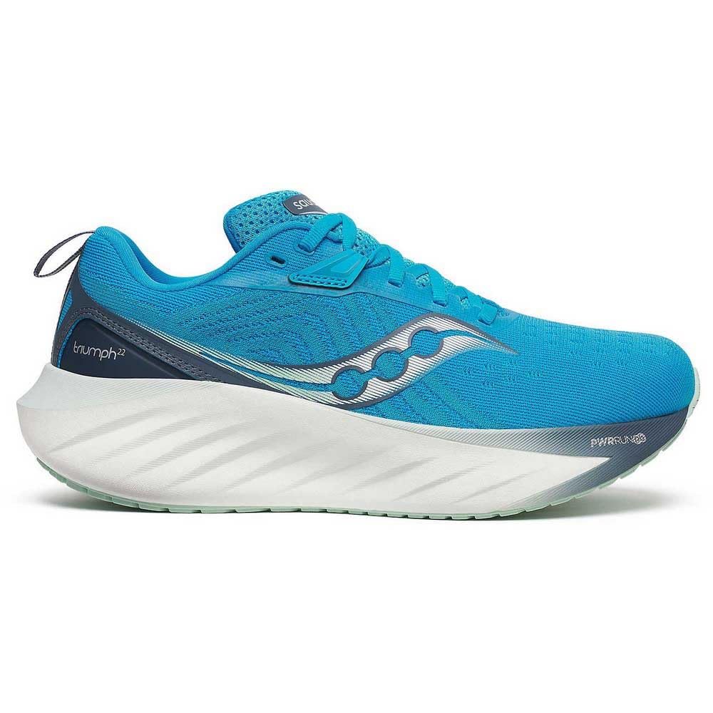 Saucony Women's Triumph 22 Sneaker, Viziblue/Dusk, 11.5 Image