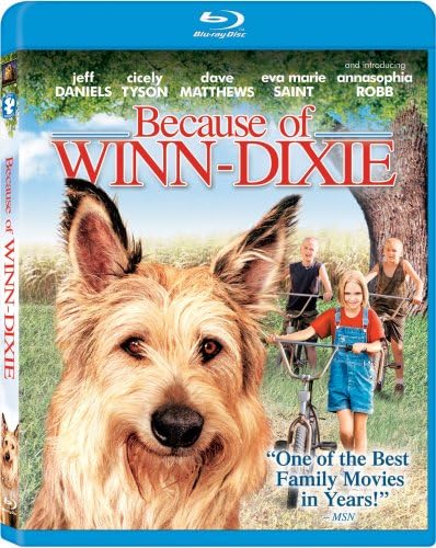 Amazon.com: Misty [DVD] : James B. Clark, David Ladd, Arthur O