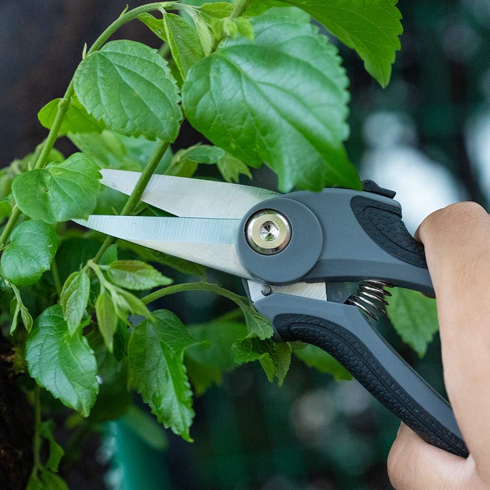 AIRAJ Hedge Shears with Serrated SK-5 Steel Blade and Strong Aluminum Handles, Manual Hedge Clippers & Garden Hand Pruner for Trimming Borders, Topiaries Boxwood, and Decorative Grasses : Garden & Outdoor