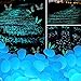 SUPERLELE 300pcs Blue and Pink Glowing Pebbles with 10 Glowing Butterfly as Gift. for Walkway, Bonsai, Aquarium