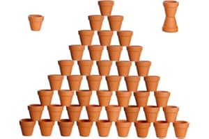 BESTTOYHOME 48 Pcs Small Mini Clay Pots 2'' Terracotta Pot Clay Ceramic Pottery Planter Cactus Flower Pots Succulent Nursery Pots- Great Plants,Crafts,Wedding Favor