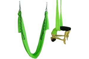 wellsem Aerial Yoga Hammock 5.5 Yards Yoga Swing Pilates Silk Home Fitness Include Carabiner,Daisy Chain, Pose Guide