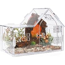 Maison Pour Araignée Sauteuse - Terrarium En Acrylique Ventilé - 30x15x15 Cm - Pour Observation Gecko, Grenouille, Mante