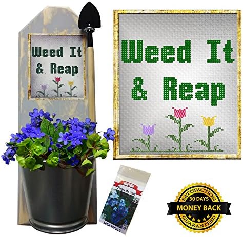 Wallflowers - Rustic Sconce Planter - Wall Mounted - Mini Garden Tool and Forget Me Not Seeds (Weed It and Reap)