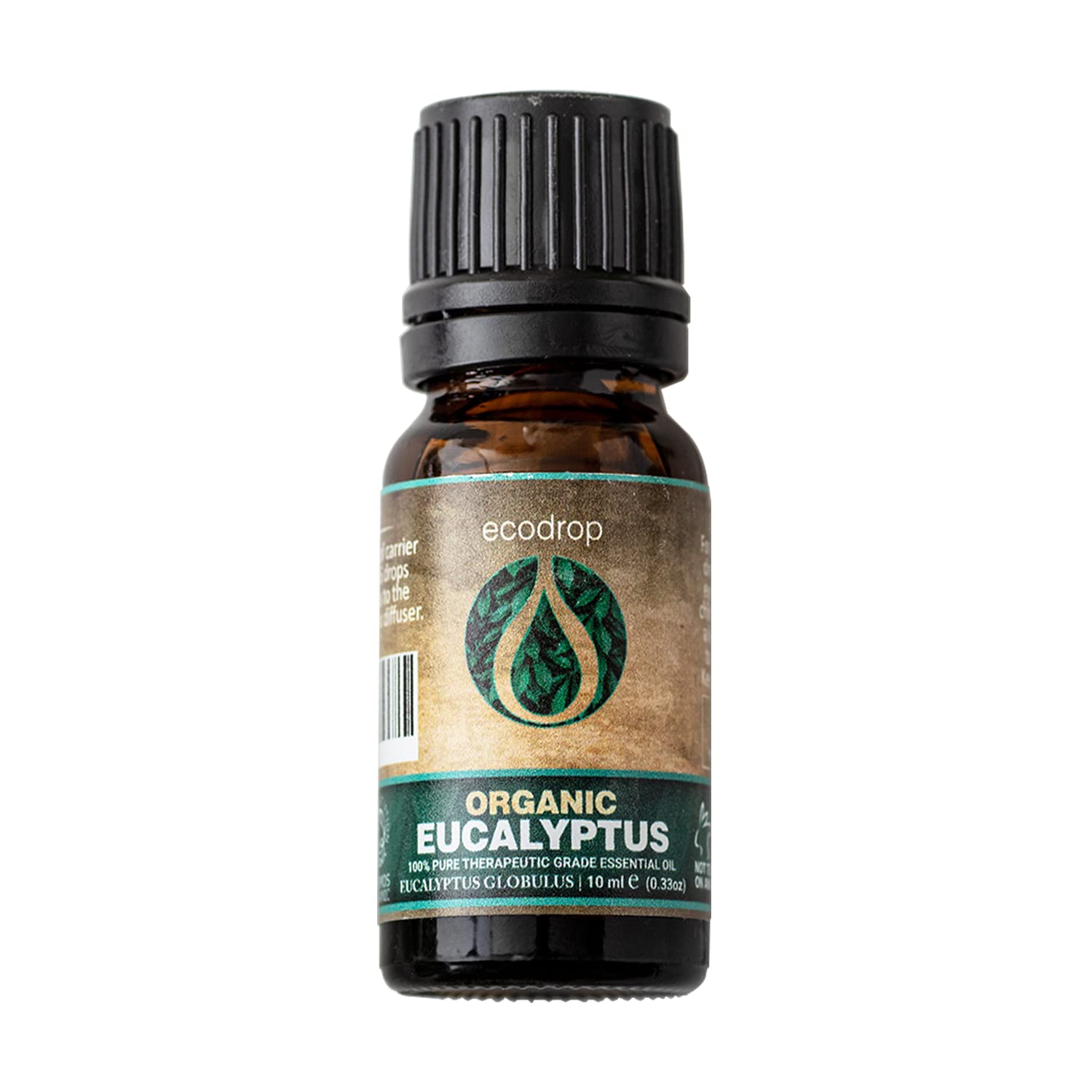 Ecodrop Pure Eucalyptus Essential Oil - 10ml Bottle | 100% Natural Eucalyptus Globulus Oil | Aromatherapy Massage, Diffuser & Bath Oil for Mood, Immunity & Pain Relief | Organic