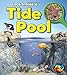 Tide Pool (Look Inside A)