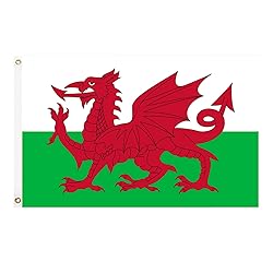 GSYLPFT Wales Flags for Outside 3x5 Welsh Flag