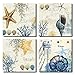 Blue Seashell Starfish Wall Art Decor Contemporary Seascape Canvas Print Painting for Home Bathroom (Blue, 12x12inchx4pcs)