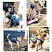 SILD Pet Clothes Dog Jeans Jacket Cool Blue Denim Coat Small Medium Dogs Lapel Vests Classic Hoodies Puppy Blue Vintage Washed Clothes