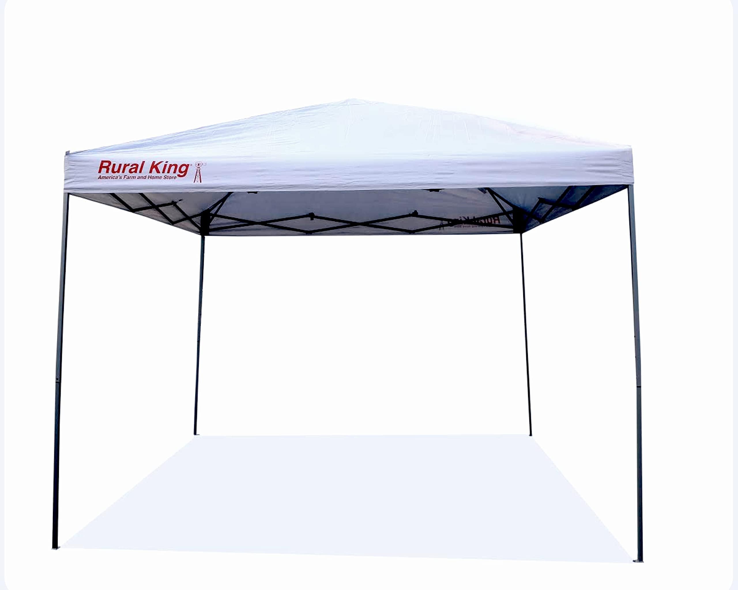 RuralKing Portable Waterproof 10x10 Canopy with Carry Bag for Garden and Terrace (White)