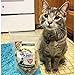 Premium Salmon Dog Treats Made in USA Only - One Ingredient: Wild Caught American Salmon - Freeze Dried, Human Grade - No Additives or Preservatives - Grain Free - Purr-fect Healthy Cat Snack too