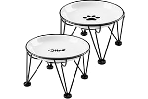 Kitwinney Elevated Ceramic Cat Bowls – Whisker-Friendly & Anti-Vomiting, Non-Slip Raised Cat Food Dishes – Stylish, Safe & Hygienic Feeding Set (2-Pack)