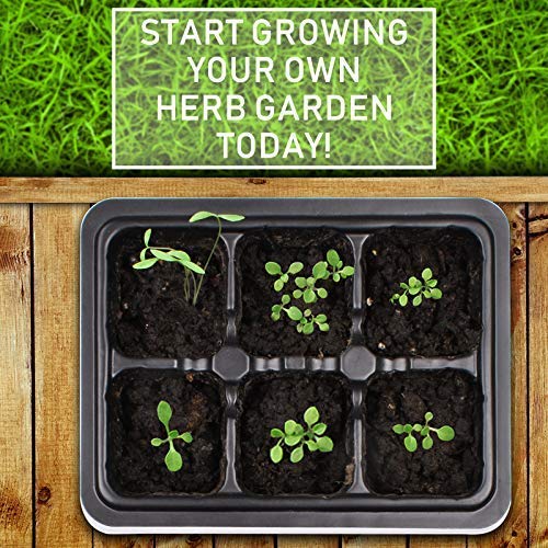 KORAM Herb Garden Kit Growing Kit Gardening Starter Set- 10 Herbs Grow from Organic Seeds Indoor Herb Kit with Everything a Gardener Needs for Growing Herbs Indoors, Kitchen, Balcony Christmas Gift