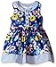 Sweet Heart Rose Girls' Floral Poplin Dress with Blue and White Printed Trim