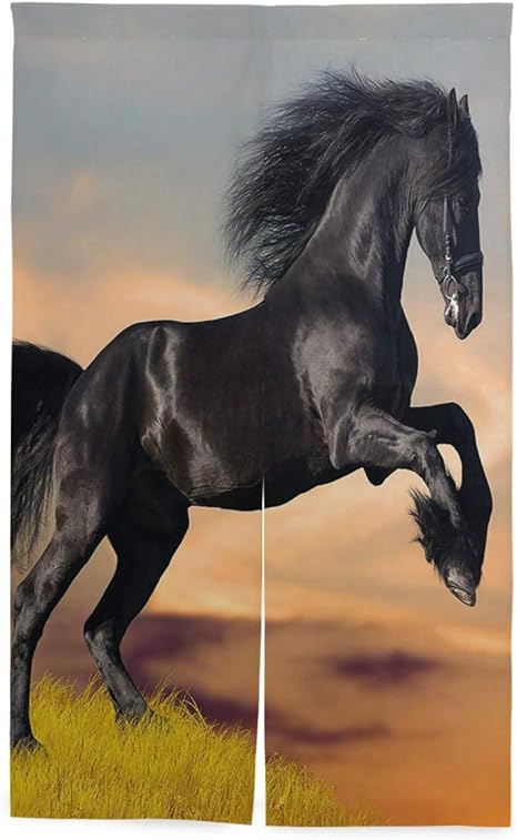 Amazon Eilanna 間仕切りカーテン 西部の野生生物のテーマフリージアンホースギャロッピングのどかな日没の風景牧草地 おしゃれ 間仕切り遮光 飾り付け 装飾 玄関 キッチン リビング 店 出入り口 突っ張り棒付き 86 143cm カーテン ブラインド オンライン通販