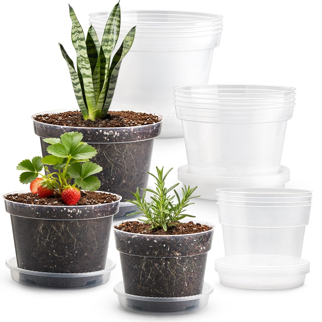 RooTrimmer 15 Pack 8/7/6 Inch Clear Nursery Pots with Saucer, Transparent Plastic Plant Pot with Drainage Hole, Sturdy Planting Starter Pots for Gardening Flower Herb Vegetable Image
