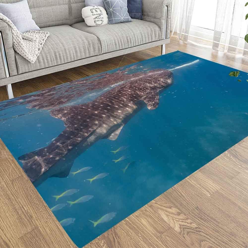 Colorful Area Rugs,Doocilsh 2X3 Area Rug of Indoor Outdoor Kids,Boys,Girls Area Rugs Use Whale Shark Watching in Closeup Cebu Fed Krill