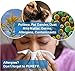 PUREFY Purefypro Disinfectant Spray (On The Go) - No Rinse. No Residue. Kills Norovirus, Flu Virus and Drug Resistant Germs. Unscented.