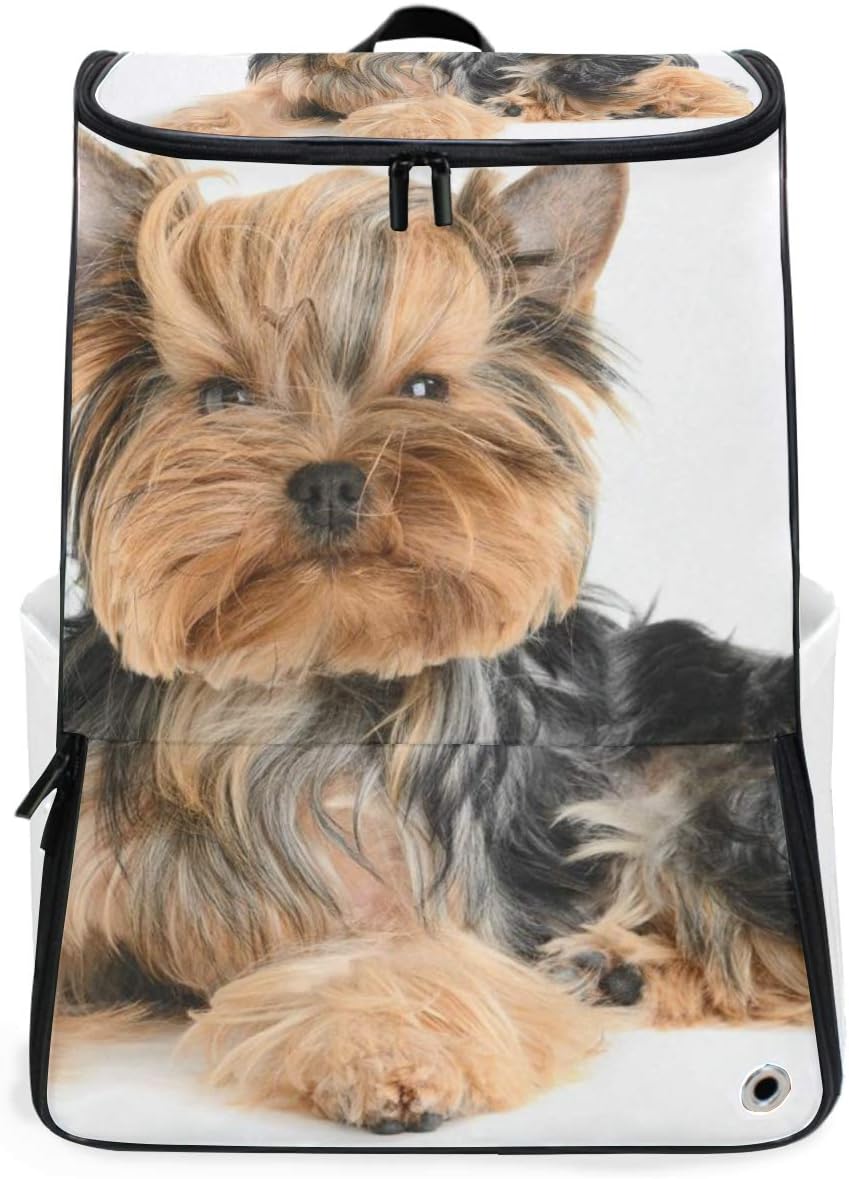 Backpack Rucksack Travel Daypack Cute Yorkshire Terrier Isolated Book