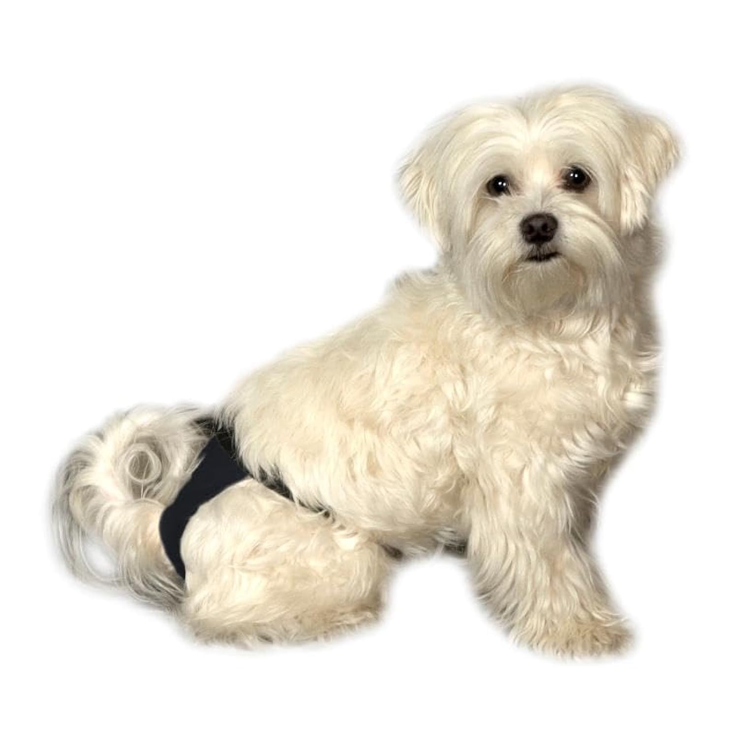 Buster Sanitary Pants, Size 5, Black