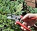 Pixpri Pruning Shears (Red) – Garden Bypass Pruners and Ergonomic Flower Cutter – Ideal Gardening Tool for Trees, Shrubs, Bushes, Weeds – Non-Slip, Foam Grip – Flannel Storage Bag