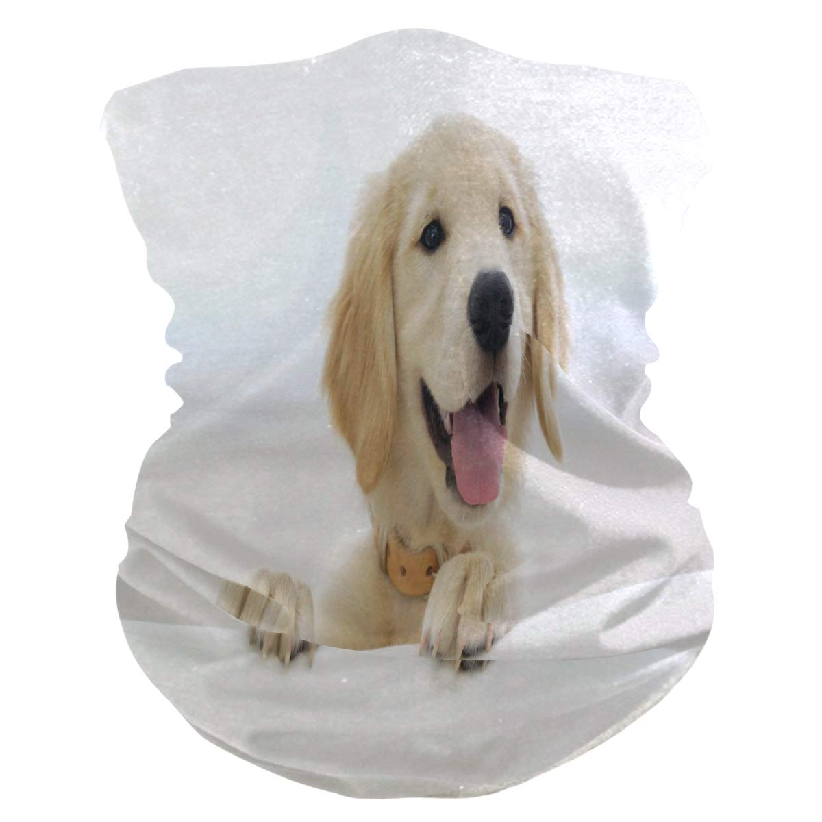 Most Lovely Golden Retriever Puppy Face Mask Bandanas UV Protection Neck Gaiter Breathable Anti Dust Masks