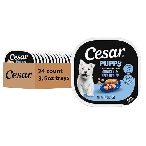 CESAR PUPPY CLASSIC LOAF IN SAUCE WET DOG...
