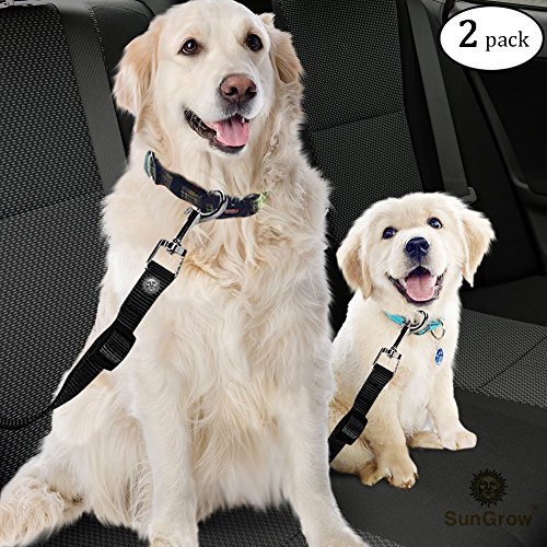 2 Snug and Secure Adjustable Dog & Cat Seat Belts (19.6