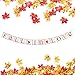 TMYSP FALL IN LOVE Bunting Banner with 150pcs Mixture Artificial Fall Maple Leaves for Proposal Wedding Anniversary Engagement Valentines Day Prom Shower Thanksgiving Party Decor