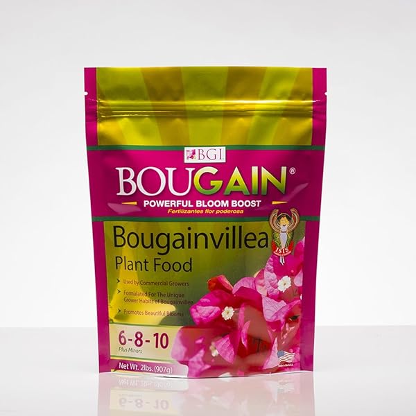 Best Fertilizer for Bougainvillea: Bloom Boosting Secrets!