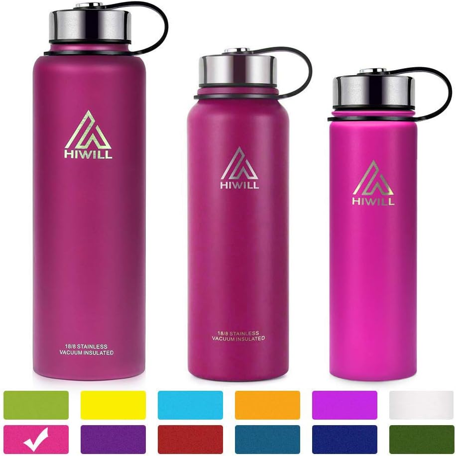 Hiwill Stainless Steel Insulated Water Bottle 2 Lids, Cold 24 Hours Hot 12 Hours, Double Wall Vacuum Thermos Flask, Travel Sports Leak Proof Metal Bottle with Straw (Flamingo, 21 oz)