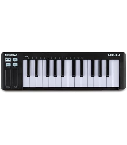 IK Multimedia iRig Keys I/O 25-keys Midi Controller with 24-bit up
